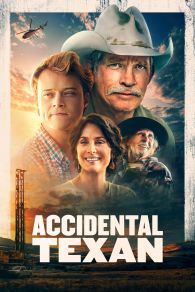 VER Accidental Texan Online Gratis HD