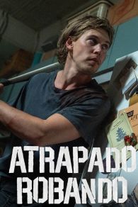 VER Atrapado robando Online Gratis HD