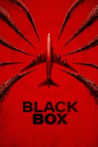 VER Black Box (Flight 298) Online Gratis HD