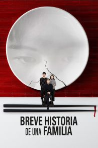 VER Brief History of a Family Online Gratis HD