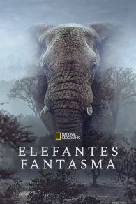 VER Elefantes fantasmas Online Gratis HD