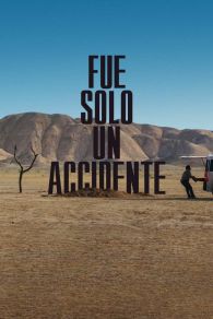 VER Fue solo un accidente Online Gratis HD