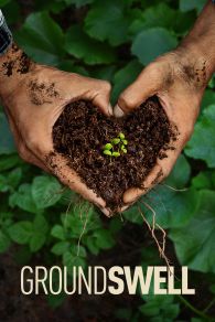 VER Groundswell Online Gratis HD