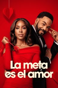 VER La meta es el amor Online Gratis HD