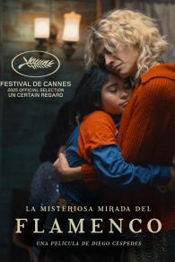 VER La misteriosa mirada del flamenco Online Gratis HD