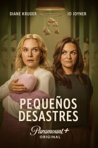 VER Pequeños desastres Online Gratis HD
