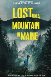 VER Perdido en la montaña Online Gratis HD