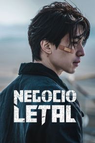 VER Negocio letal Online Gratis HD