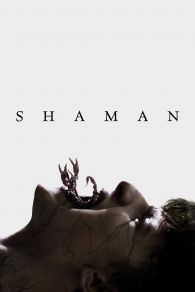 VER Shaman Online Gratis HD