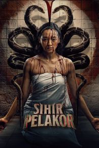 VER Sihir Pelakor Online Gratis HD