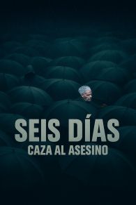 VER Seis días: Caza al asesino Online Gratis HD