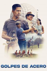 VER The Long Game Online Gratis HD