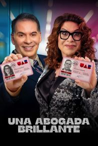 VER Uma Advogada Brilhante Online Gratis HD