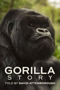VER Una historia de gorilas contada por David Attenborough Online Gratis HD
