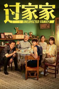 VER Unexpected Family Online Gratis HD